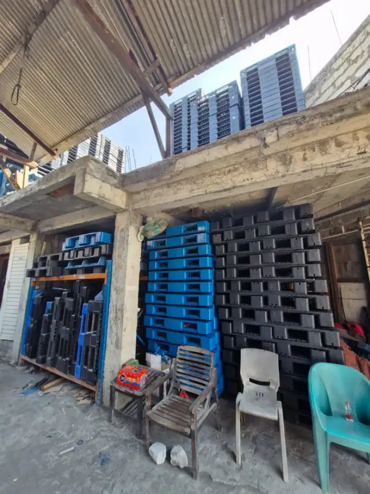 Palet plastik baru mumpung masih ada