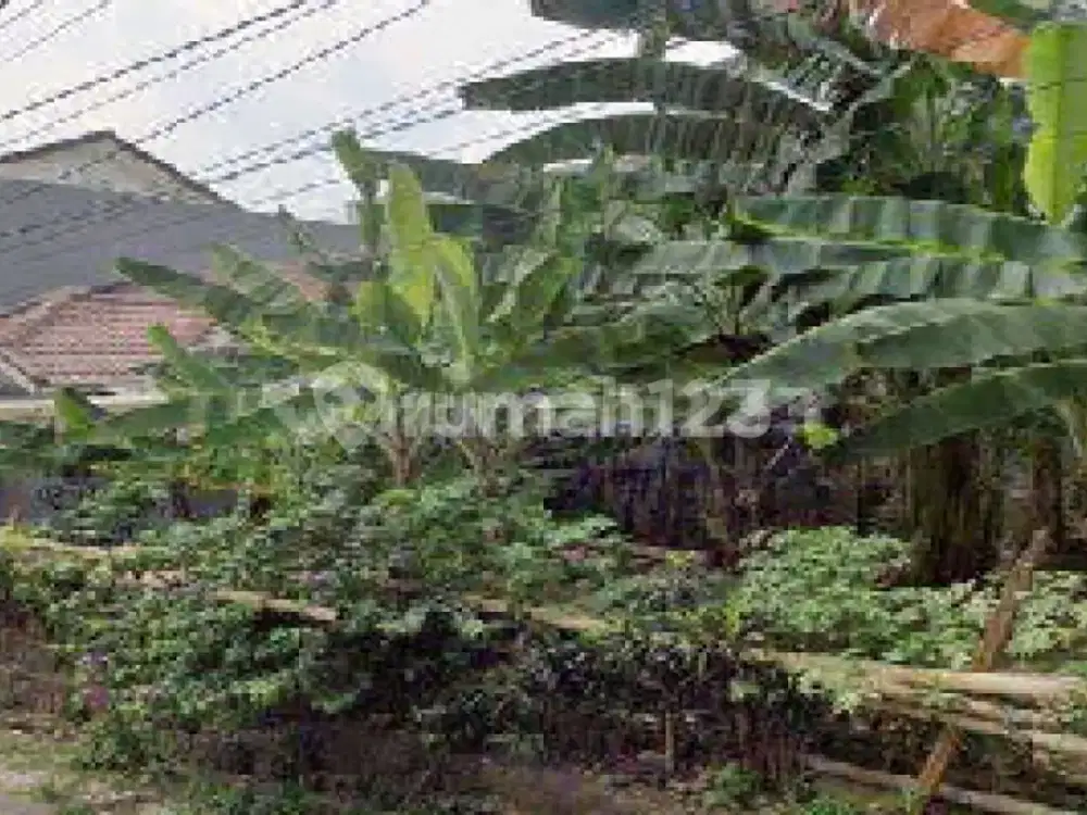 Tanah Kavling Siap Bangun Di Lebak. Bulus