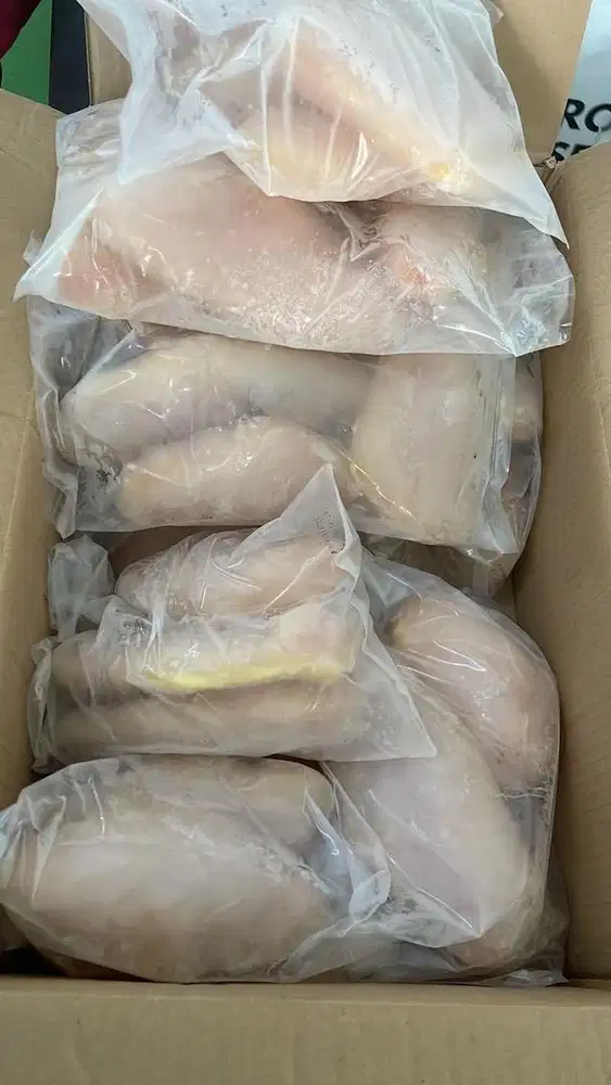 ikan dori fillet fresh