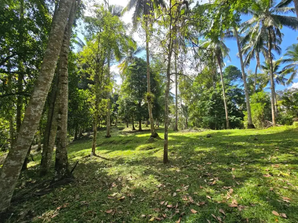 DIJUAL TANAH MURAH DI TABANAN