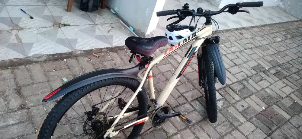 POLYGON MTB THEREE