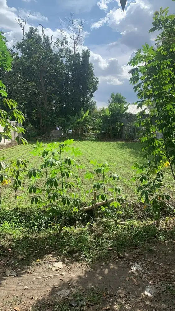 Di Jual Tanah Maguwoharjo