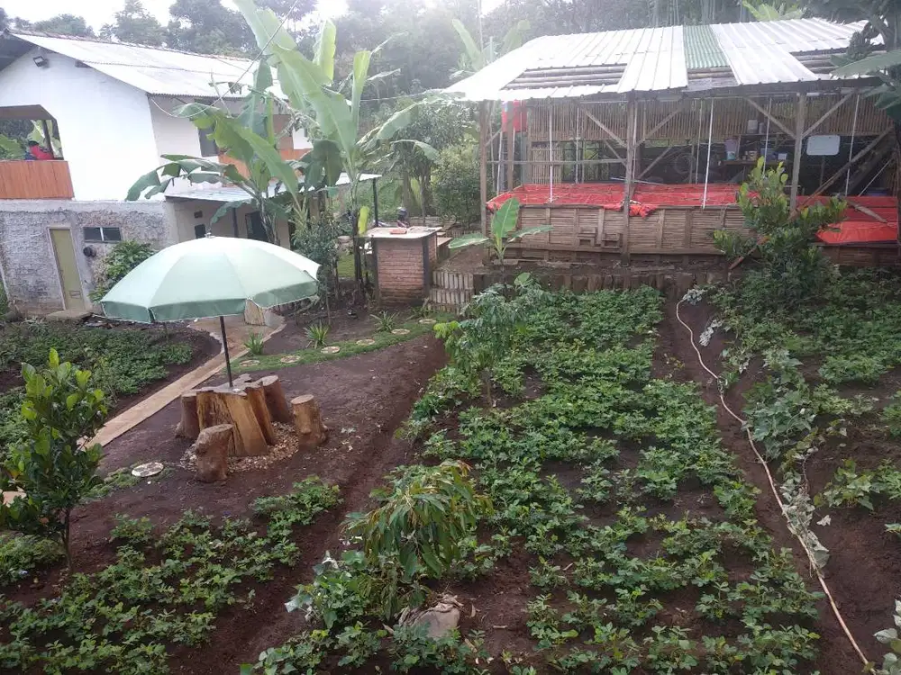 Di jual rumah dan kebun