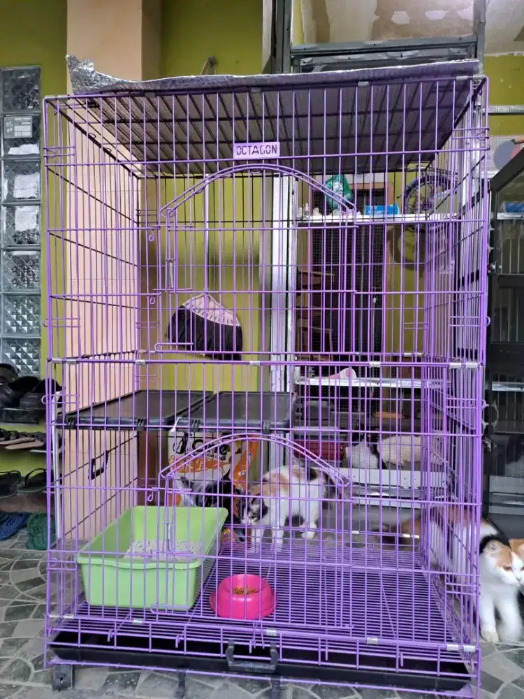 Kandang kucing octagon