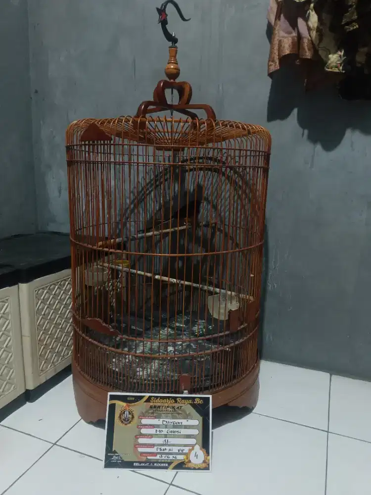 MURAI BATU MEDAN RING APBN