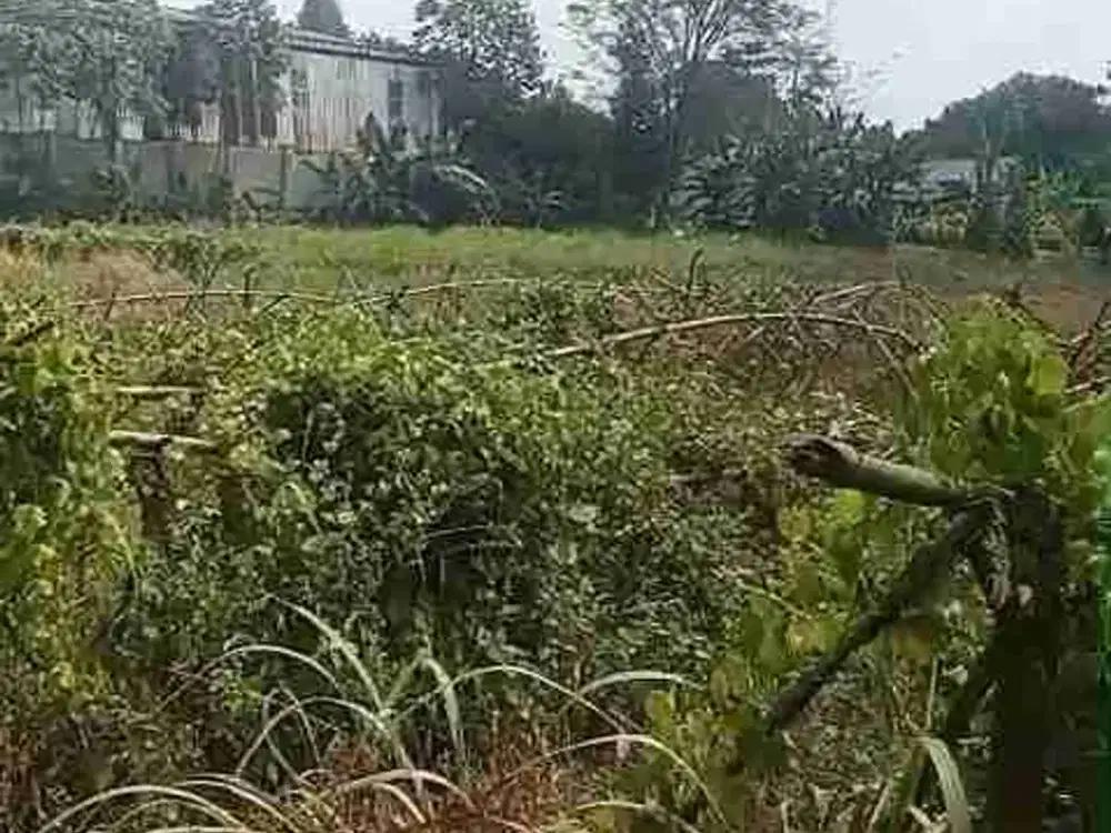 Dijual Atau Disewa Tanah Setu Bekasi