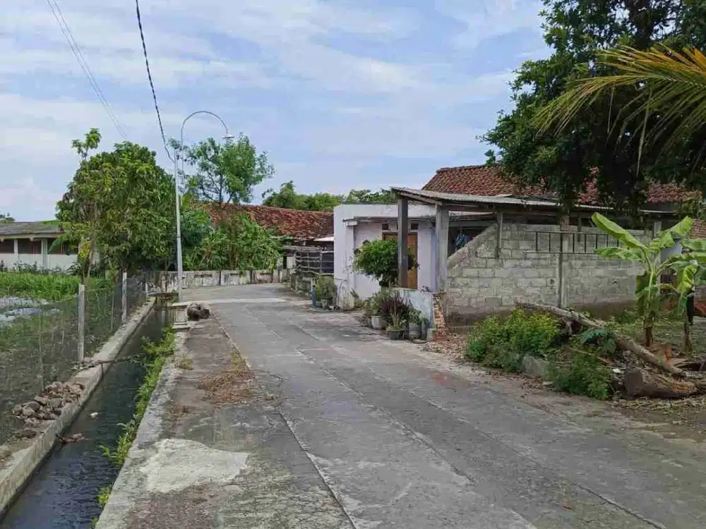 JUAL TANAH PEKARANGAN VIEW SAWAH DI TIMUR KAMPUS ISI BANTUL YOGYAKARTA