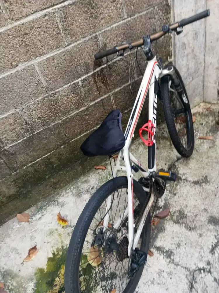 Sepeda gunung MTB Pasific tranzline 300