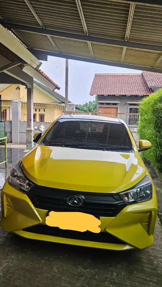 Ayla Ex - Cewek pajak panjang Murah