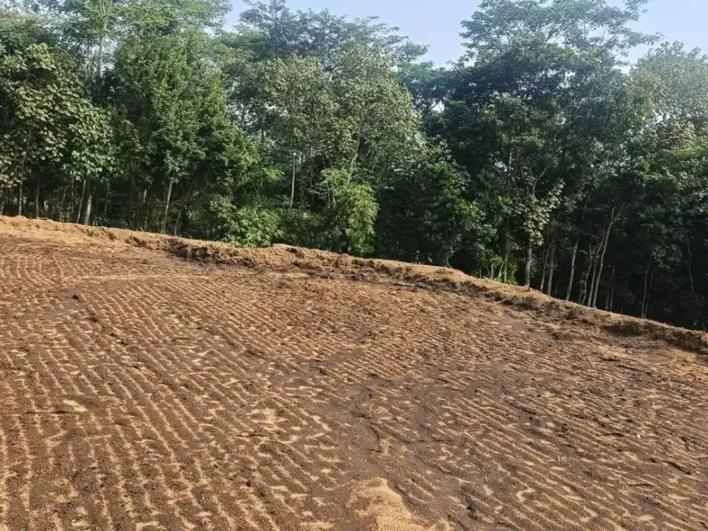 Dijual tanah kebun dipinggir jalan Truk