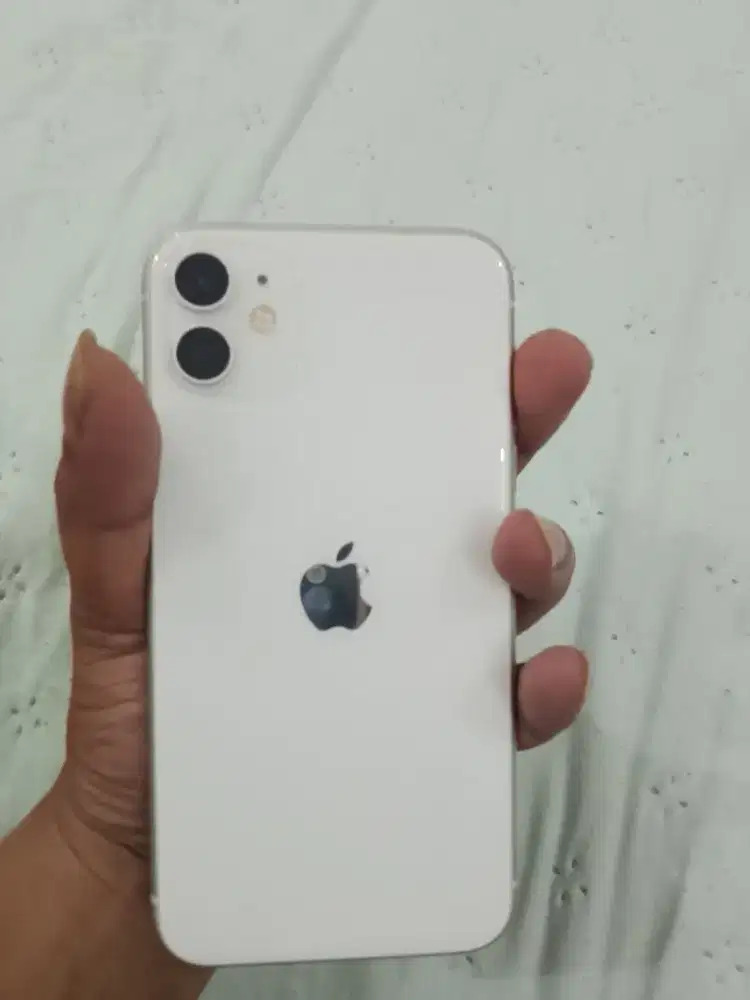 Iphone 11 mulus nominus