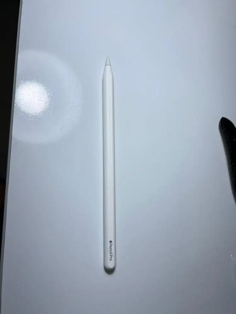 Apple Pencil Pro No Box