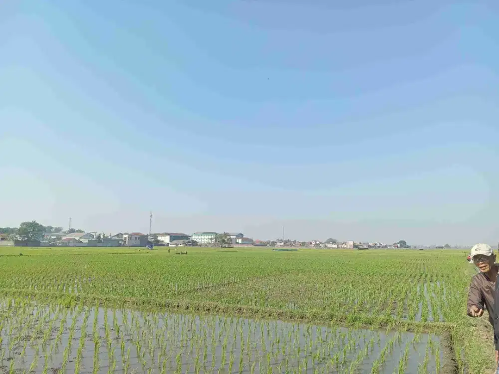 dijual tanah sawah bagus dan murah di Bandung Timur
