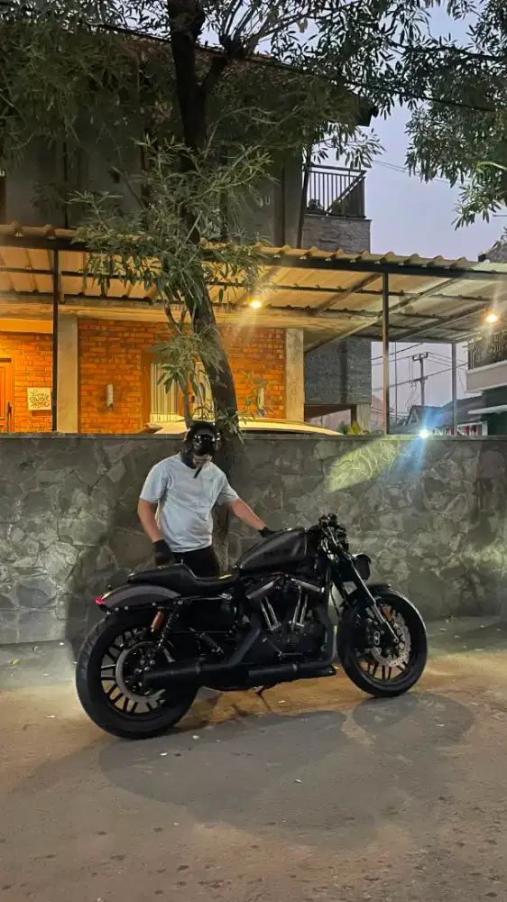 Harley davidson sposter roadstar 2018.
