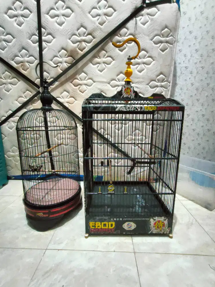 Sangkar ebod japanese nomer 2