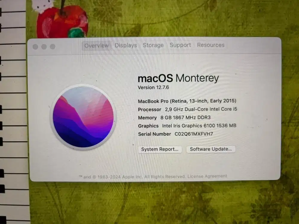 Macbook pro retina 13 inch early 2015