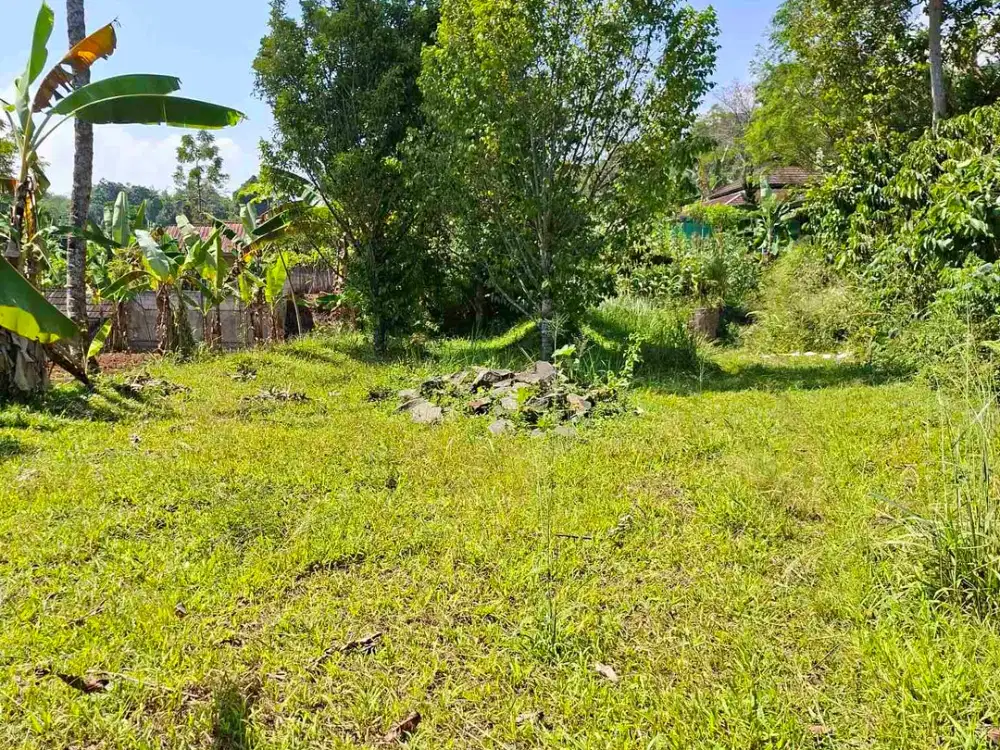Di jual tanah Darat sangat cocok untuk villa dan investasi .view gunung salak udara sejuk