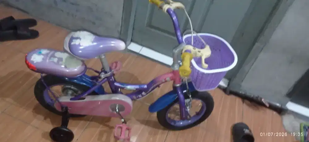 SEPEDA ANAK MINI KERANJANG UK 12