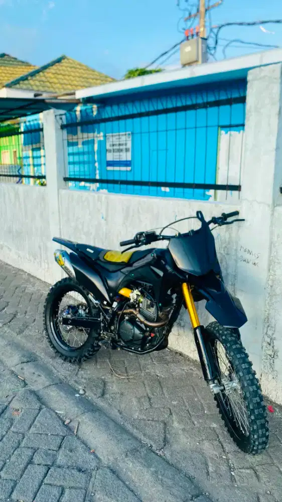 CRF BOR UP 66 2020