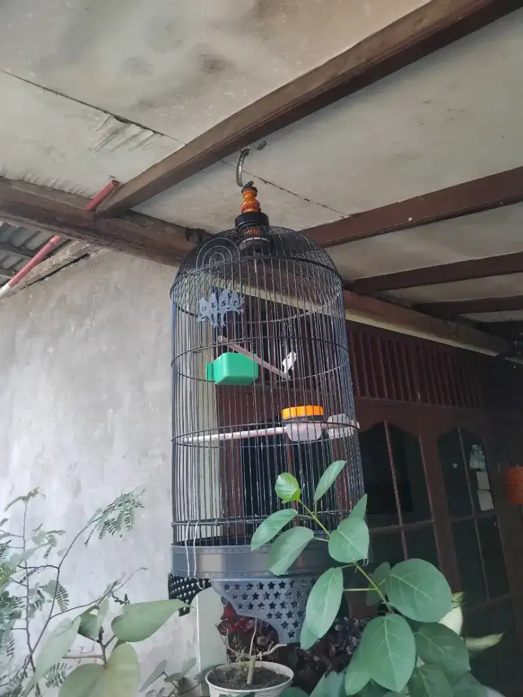 Kandang burung besi