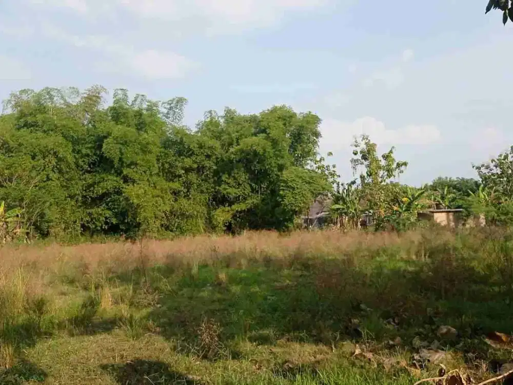 Dijual Tanah Sawah Tengah Pemukiman Dekat Kota KEPEL BANJARSARI MADIUN