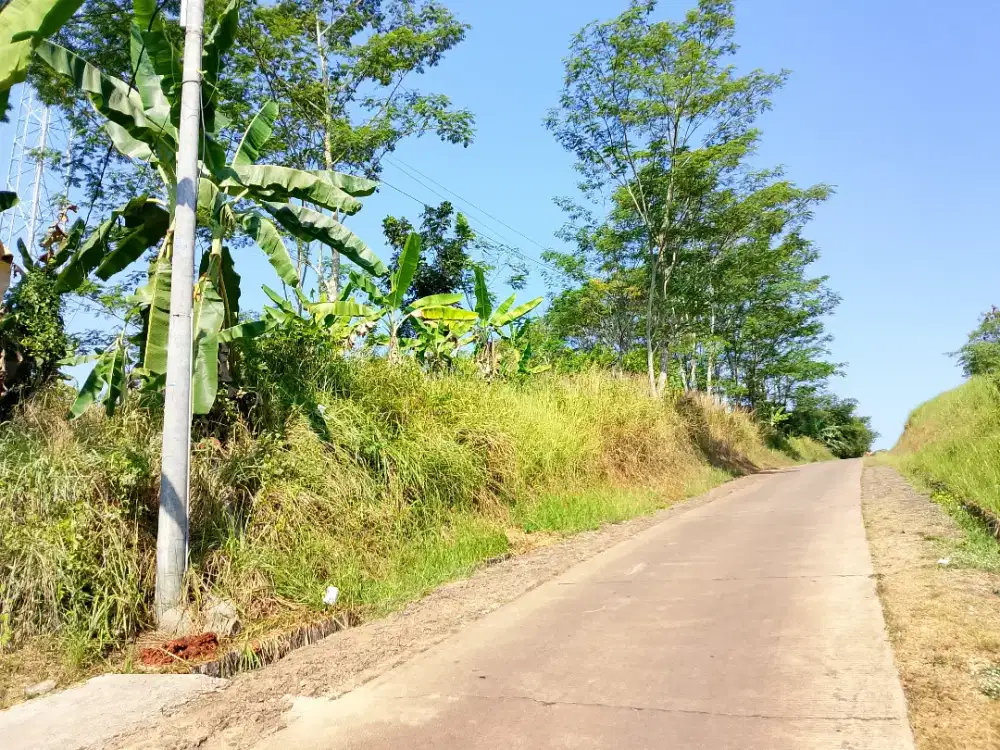 Lahan murah dekat ke pasilitas umum.