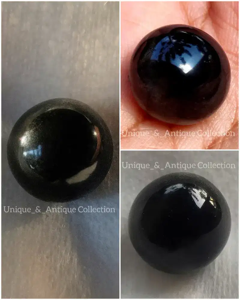 Mutiara Hitam Laut Alam Kerang Kampak Pinna Blak Pearl Langka