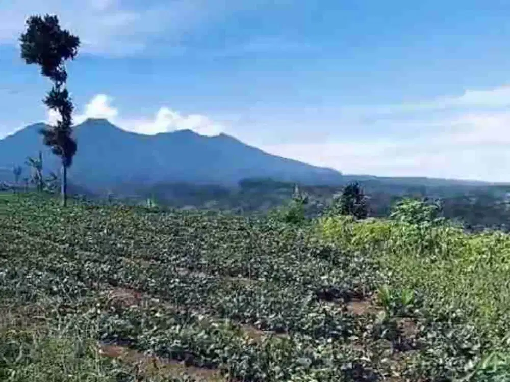 di jual lahan SHM view gunung 3 km dr jalan propinsi Cicurug Sukabumi
