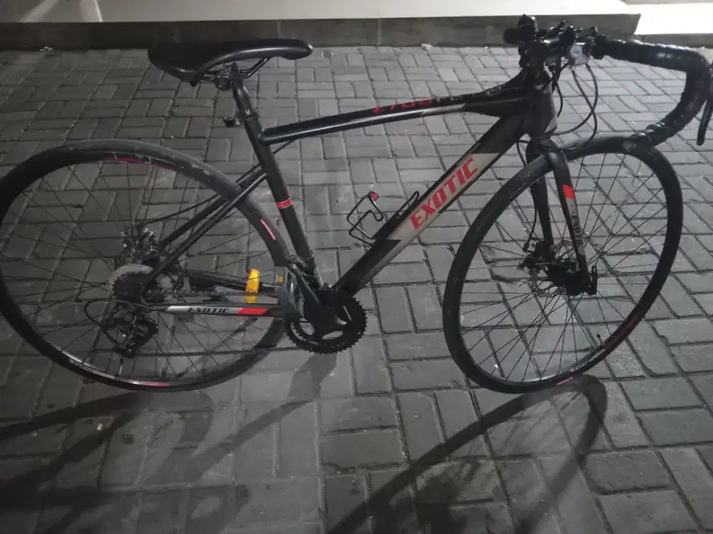 Roadbike Exotic
