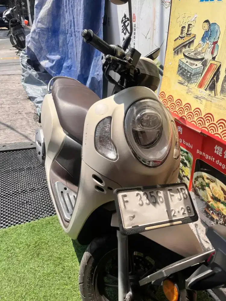 Scoopy putih 2023