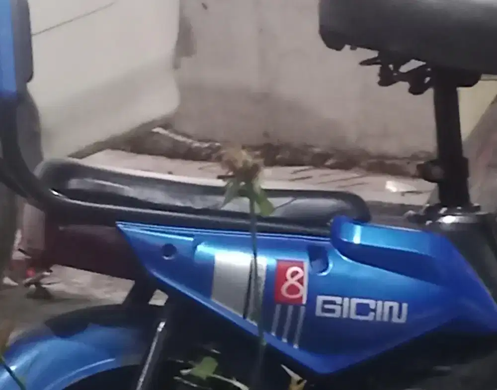 Dijual cepat murah apa adanya sepeda listrik merk gicin 8