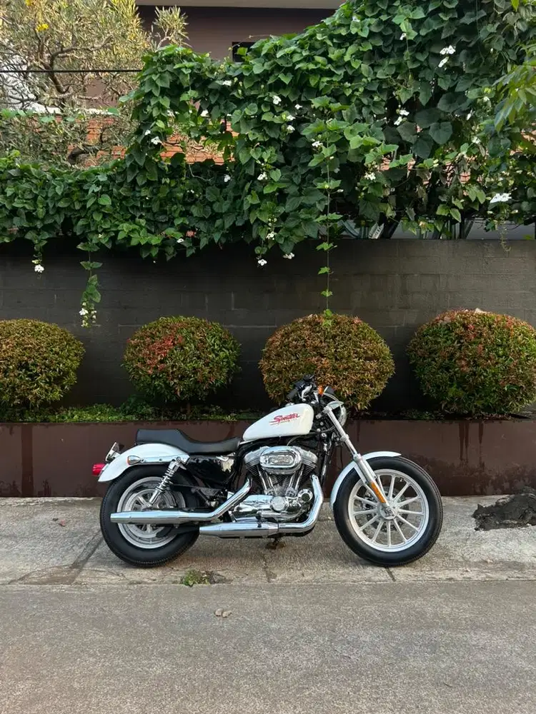 Harley Davidson Sportster Karburator