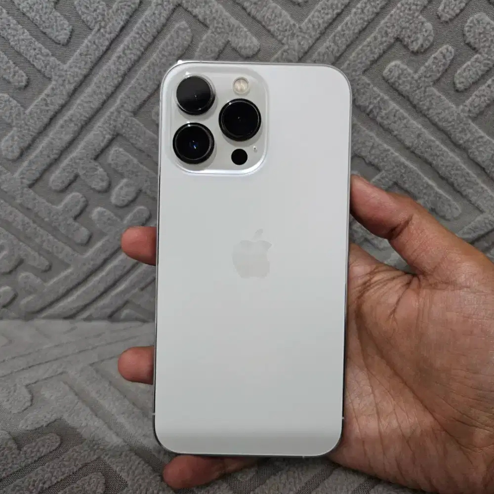 iPhone 13 Pro 128 Silver, Intern bea cukai