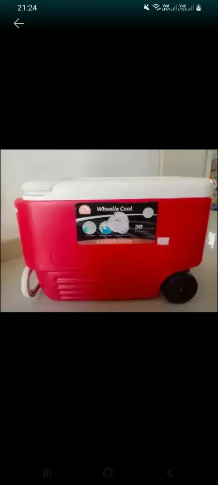 Jual murah cooler box kapasitas 36L bgs spt foto,harga 1,2jt bs nego