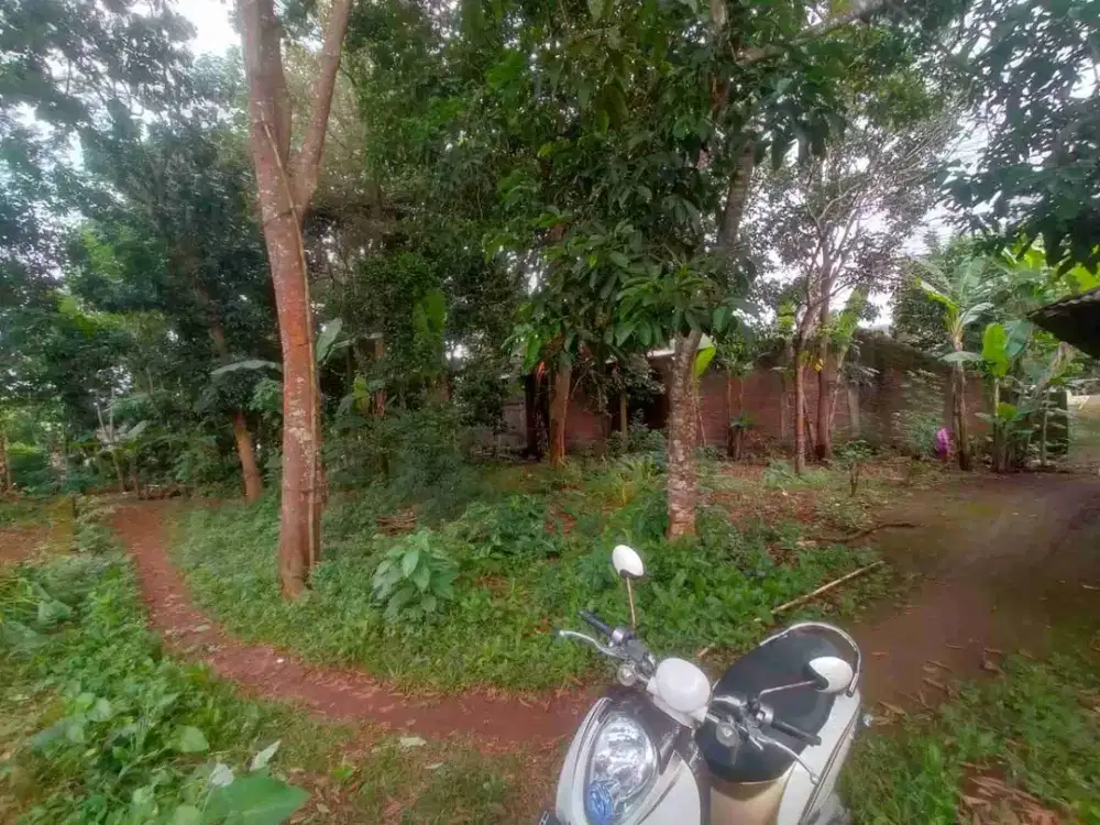 Tanah Siap Bangun Cocok Untuk Kos di Sekaran Gunung Pati