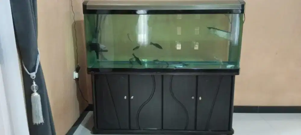 Aquarium set besar 150cm