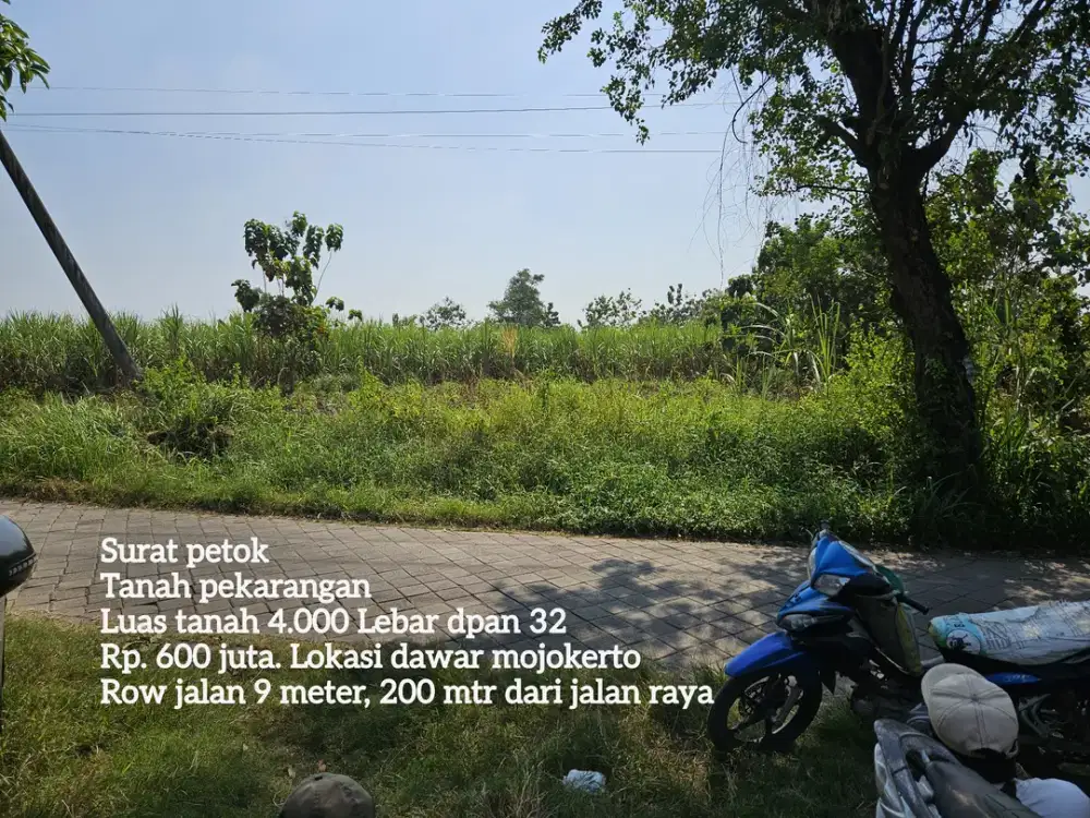 Tanah pekarangan dawar blandong