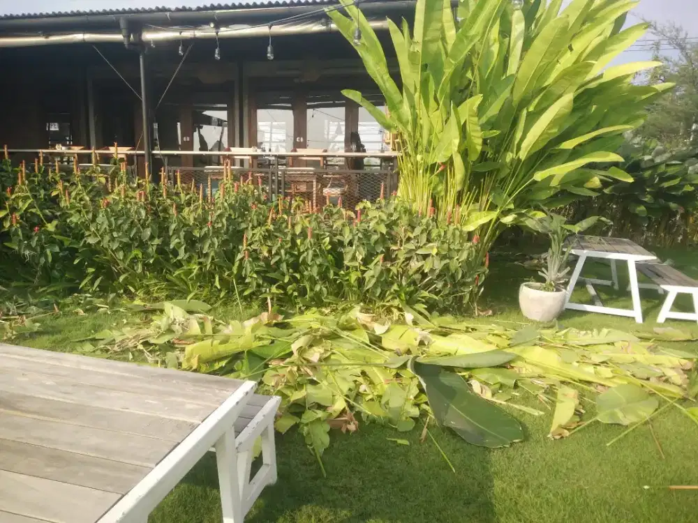 Jasa Bersih rumah