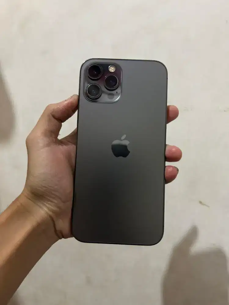 Iphone 12pm 128gb inter allop