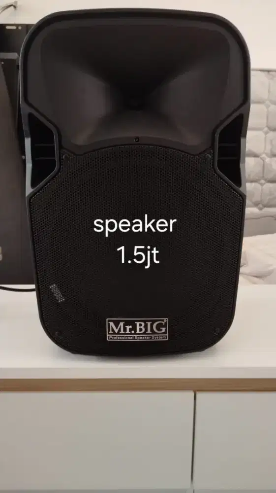 Speaker mr Big baru