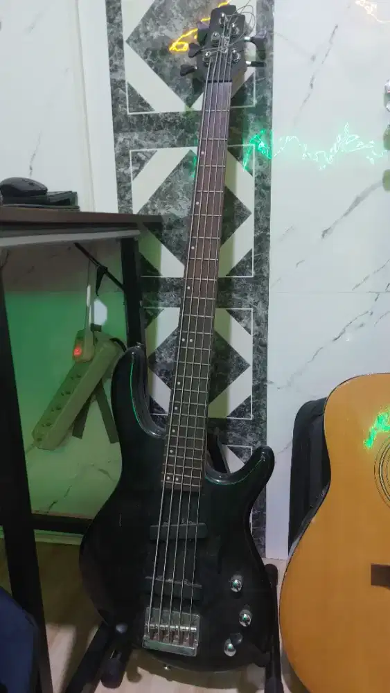 Bass Cort action