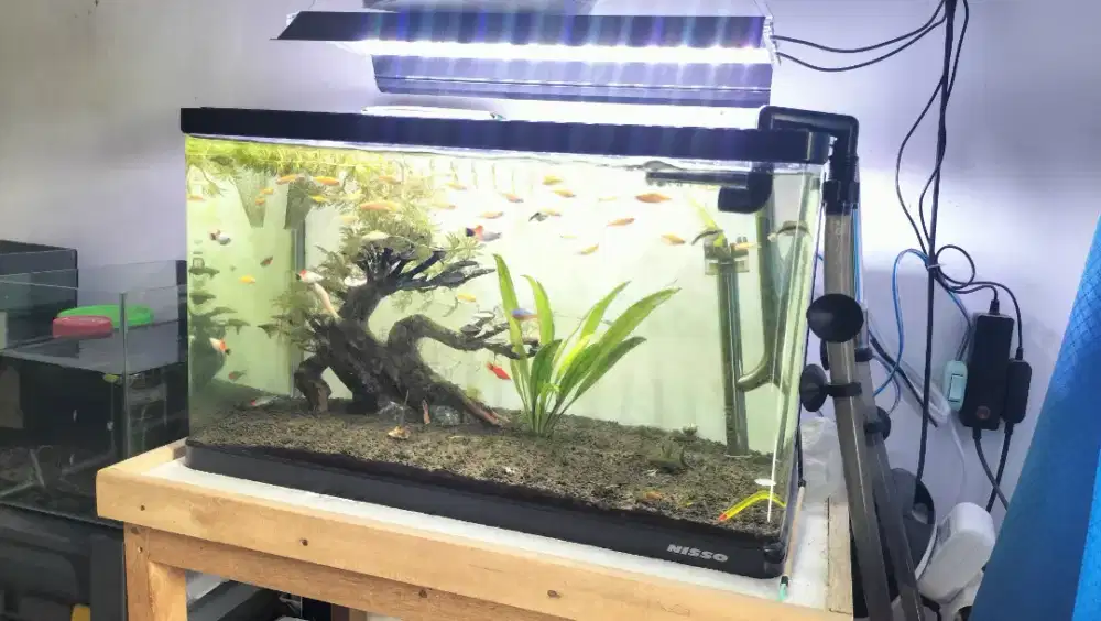 Aquarium 1set aquascape + gratis ikan