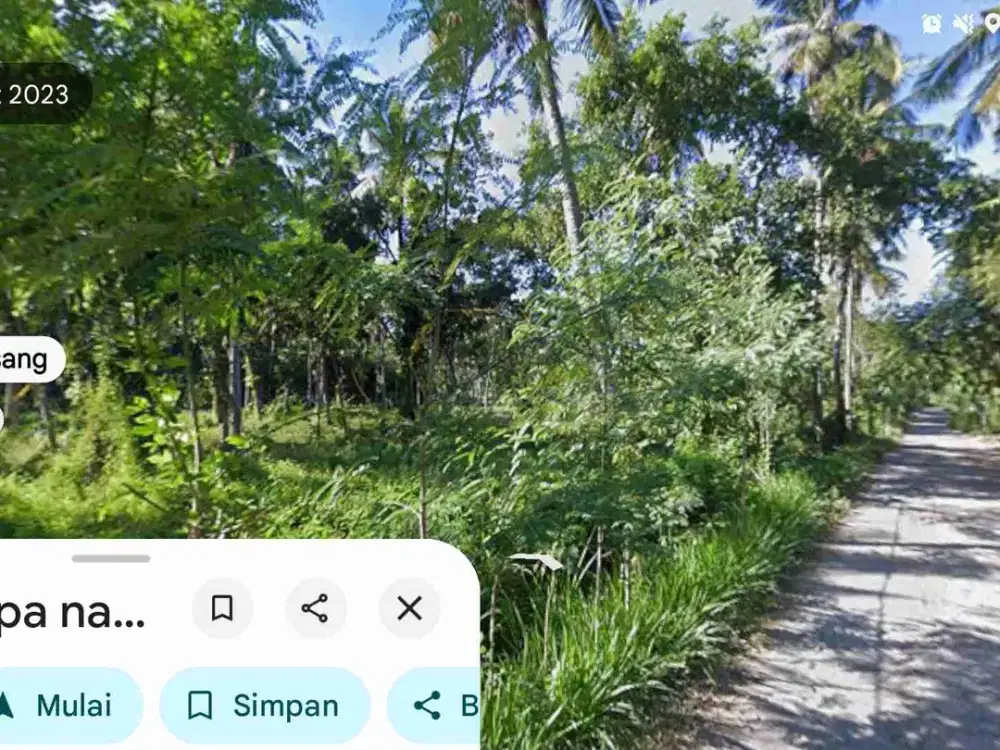tanah kebun murah cocok buat invest dekat pantai