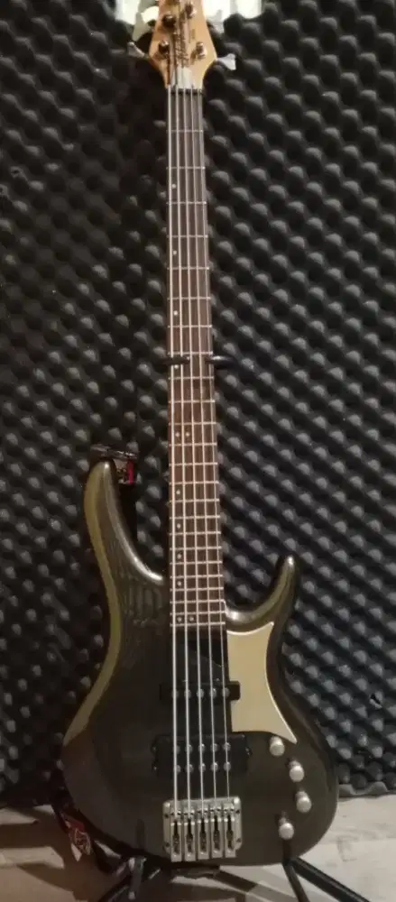 Gitar bass washburn MIK 5s aktif kondisi kinyis-kinyis CITAYEM DEPOK