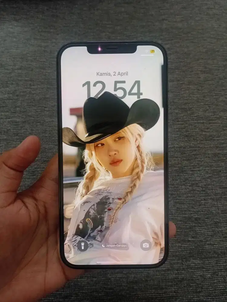Iphone 12 promax 519gb LANGKA IBOX MULUSSS