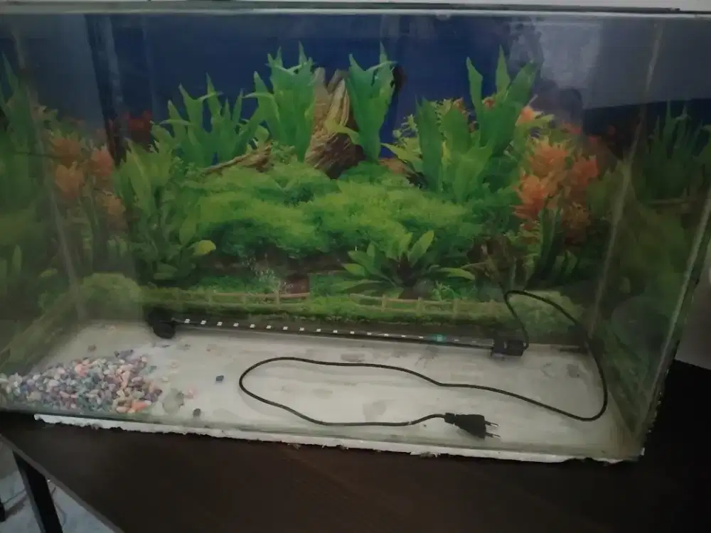 Dijual cepat aquarium + Lampu