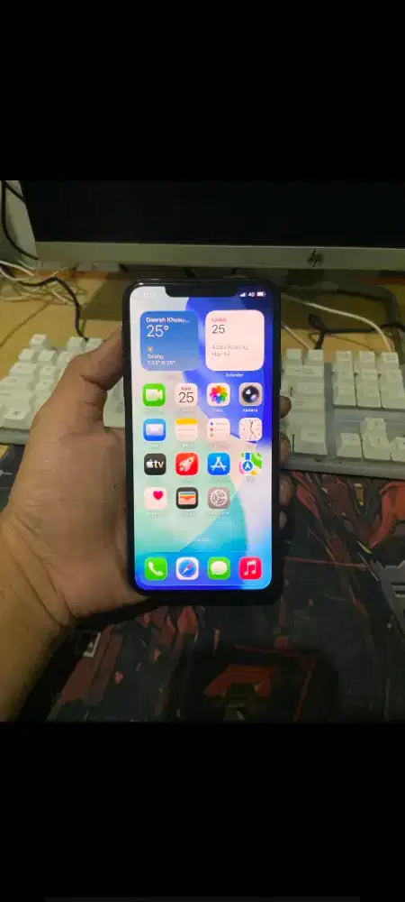 11 Promax 256Gb Inter allop