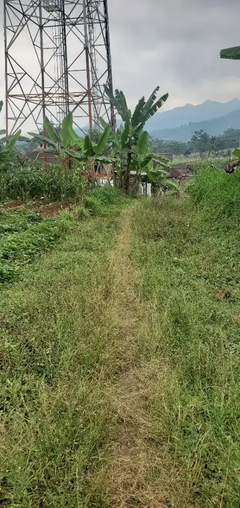 Jual Tanah Kavling Jabung Malang