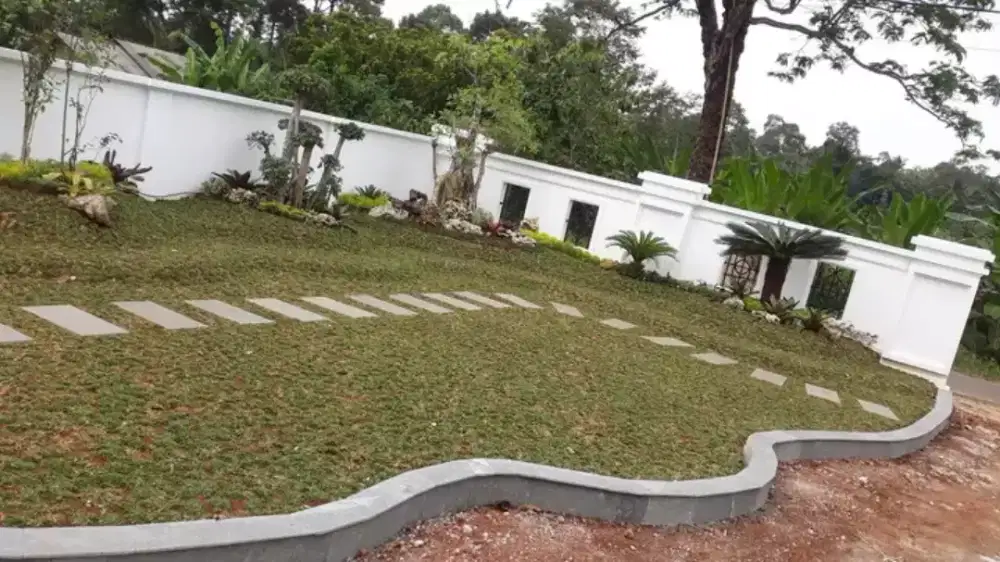Pembuatan Taman kolam ikan