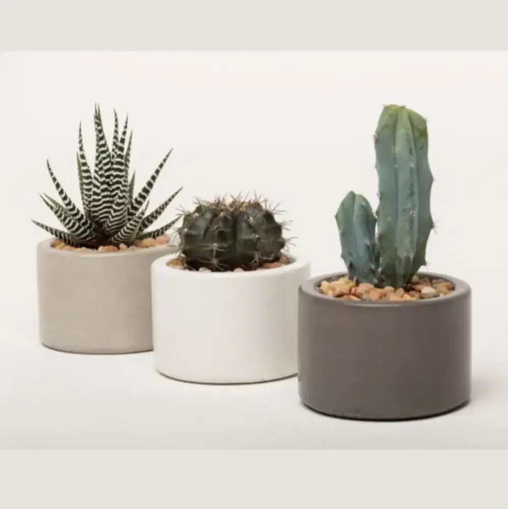 POT CONCRETE BULAT MINI EGIYU20, POT KECIL, TEMPAT LILIN, POT SEMEN
